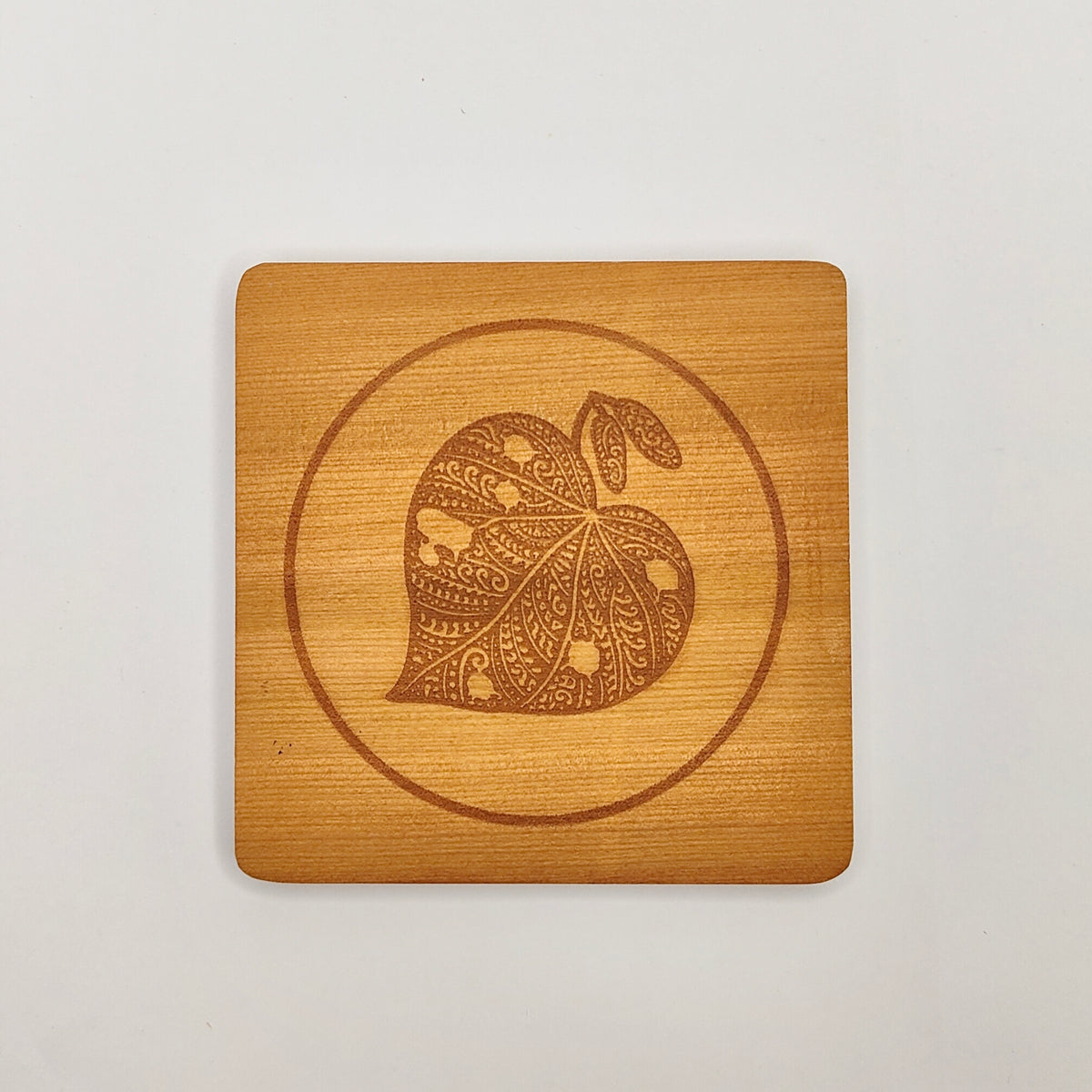 Ngā Taonga o te Waonui a Tāne – Kauri Coaster Set